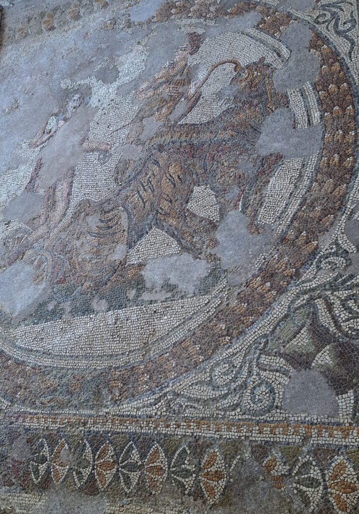 mosaico corridoio n - Nella Villa Romana di Casignana: il valore del turismo archeologico e scolastico in Calabria - 13 mosaico corridoio n - Meraviglie di Calabria - 12