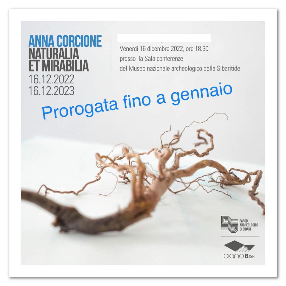 prorogamostralocandina - Naturalia et Mirabilia: al Museo Nazionale Archeologico di Sibari è ancora evento - 9 prorogamostralocandina - Meraviglie di Calabria - 8