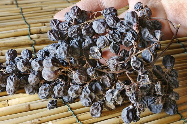uva appassita - Vini dolci calabresi perfetti con i dessert di Natale - 7 uva appassita - Meraviglie di Calabria - 6