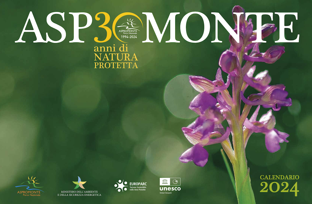 30 anni - Il Parco dell'Aspromonte festeggia 30 anni, un calendario ne celebra le bellezze - 3 30 anni - Meraviglie di Calabria - 2