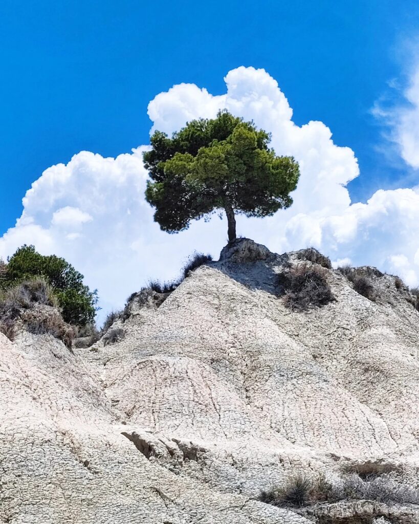350961975 984107805953355 6027786523880471198 n - I Calanchi di Palizzi, dove la natura modella i sogni - 7 350961975 984107805953355 6027786523880471198 n - Meraviglie di Calabria - 6