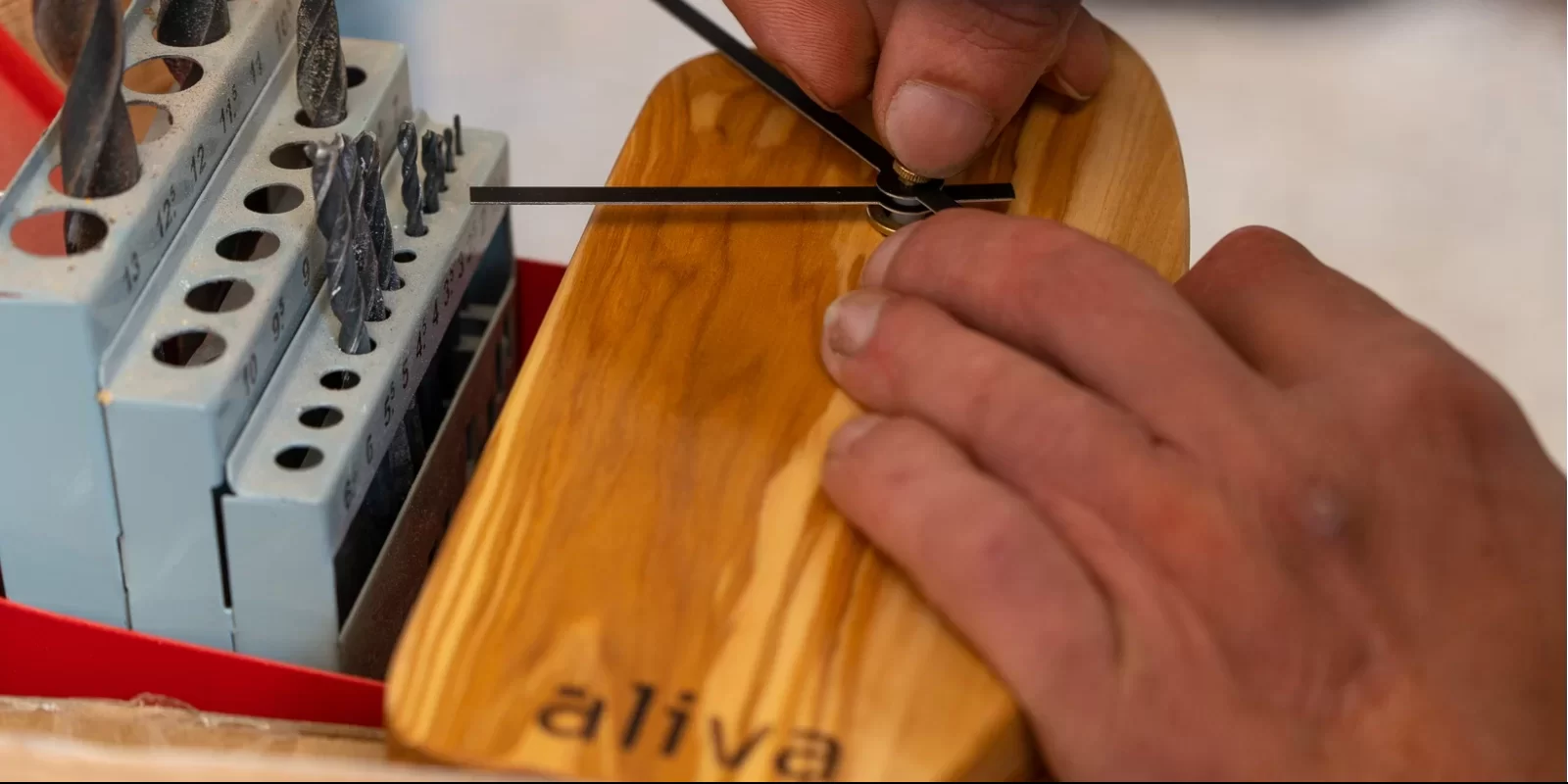 Aliva, in Calabria gli scarti di potatura d’ulivi rivivono