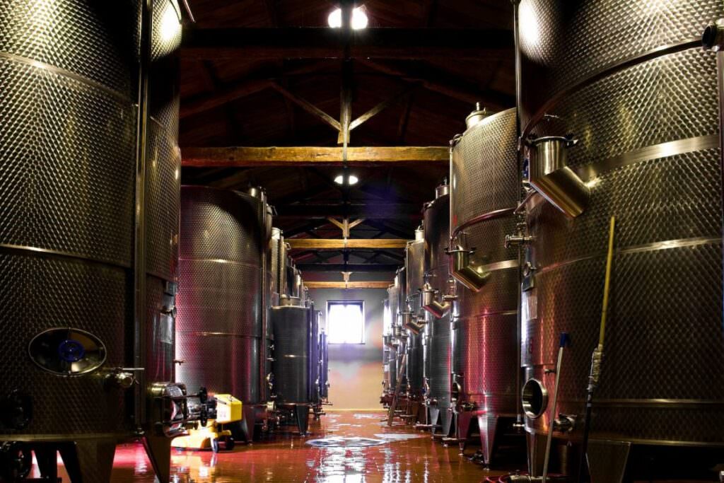 cantine statti lamezia terme 4 1200x800 1 - “Wine in Venice”, le Cantine Statti tra le 20 migliori in Italia - 5 cantine statti lamezia terme 4 1200x800 1 - Meraviglie di Calabria - 4