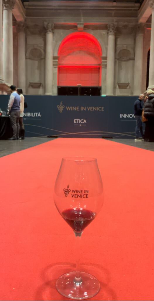 image00005 - Sul red carpet di “Wine in Venice” vince Cantine Statti. A tu per tu col produttore - 5 image00005 - Meraviglie di Calabria - 4