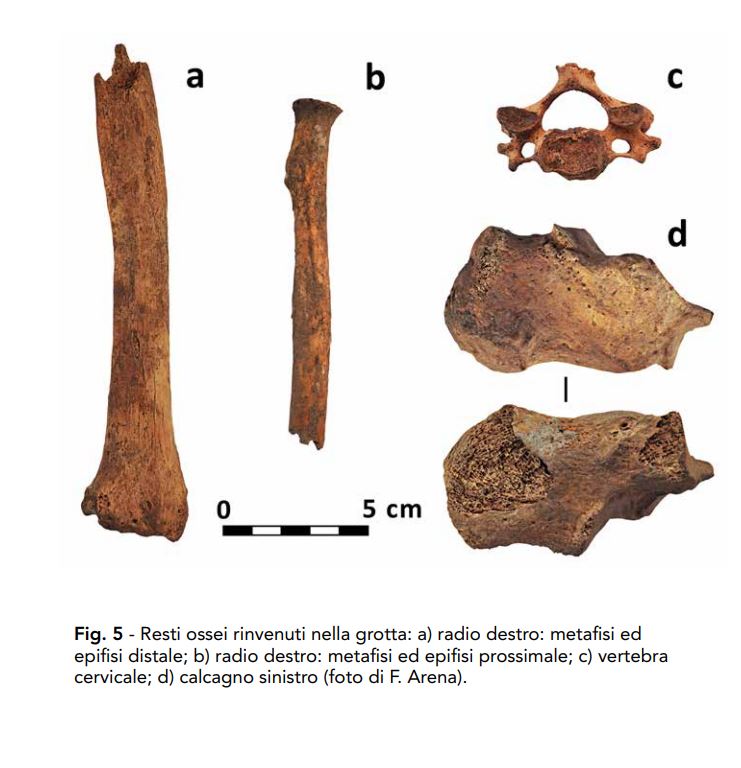 resta ossee - I misteri della “Grotta du' scuru” ad Amantea - 7 resta ossee - Meraviglie di Calabria - 6