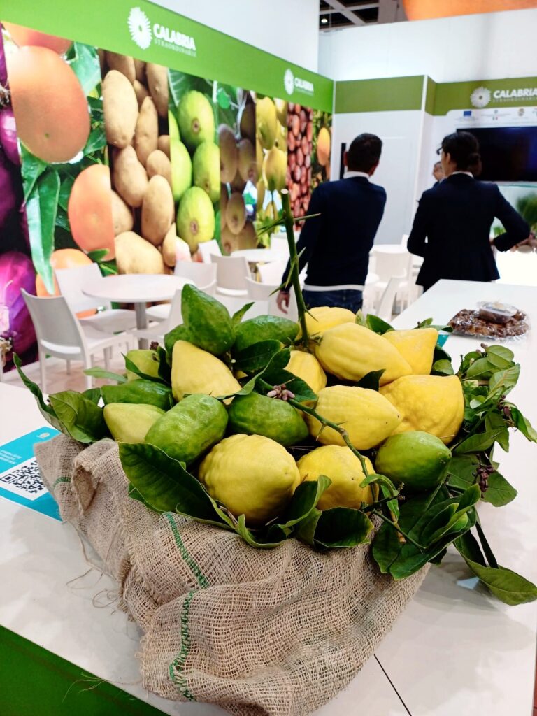 425817247 885094483615686 2437125023288178771 n - Fruit Logistica di Berlino, il Cedro di Santa Maria grande protagonista - 5 425817247 885094483615686 2437125023288178771 n - Meraviglie di Calabria - 4