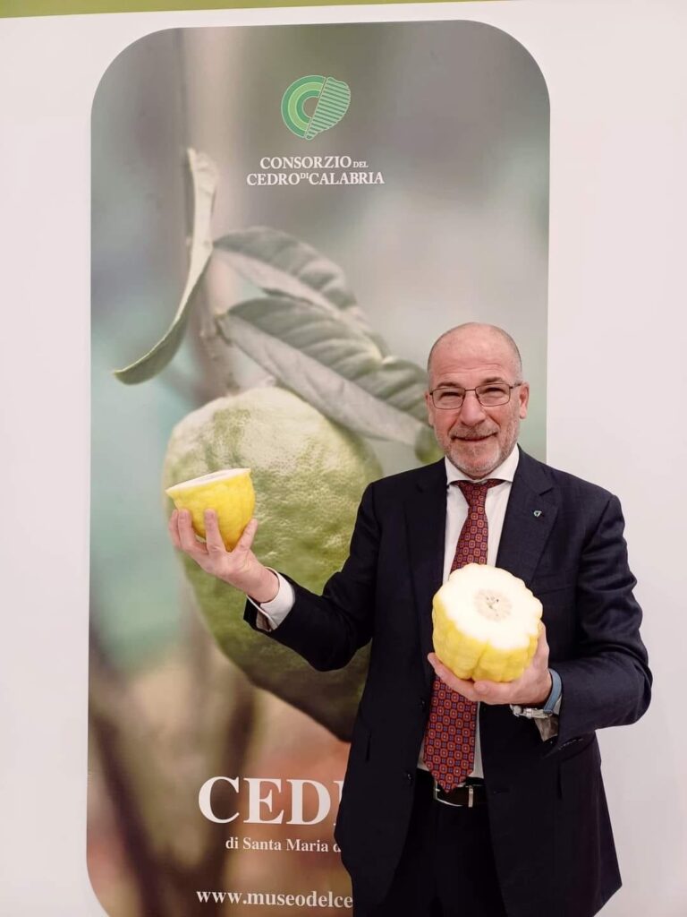 425853207 885769440214857 1226308409365347290 n - Fruit Logistica di Berlino, il Cedro di Santa Maria grande protagonista - 7 425853207 885769440214857 1226308409365347290 n - Meraviglie di Calabria - 6