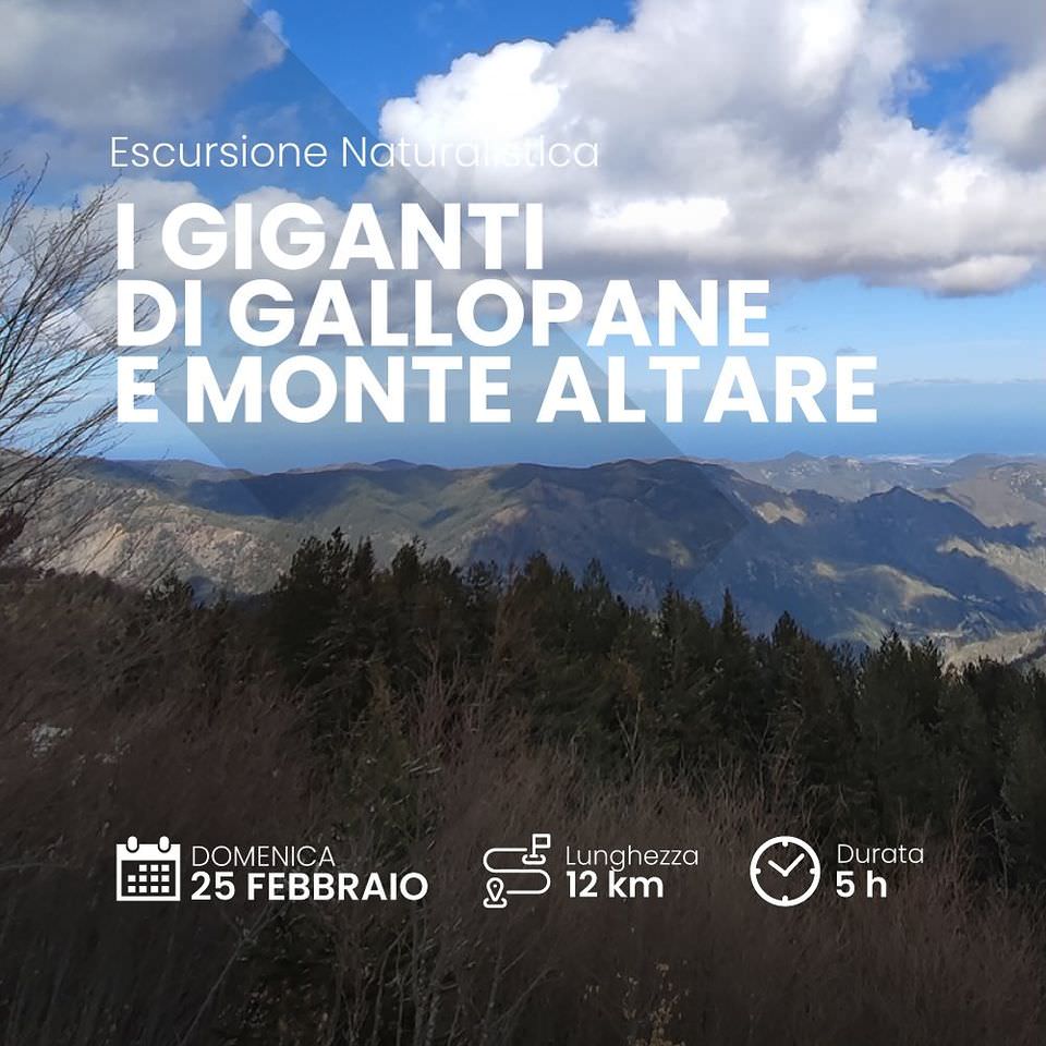 428602646 17902916423940850 6365893300830983478 n - Gli appuntamenti del weekend in Calabria - 31 428602646 17902916423940850 6365893300830983478 n - Meraviglie di Calabria - 30