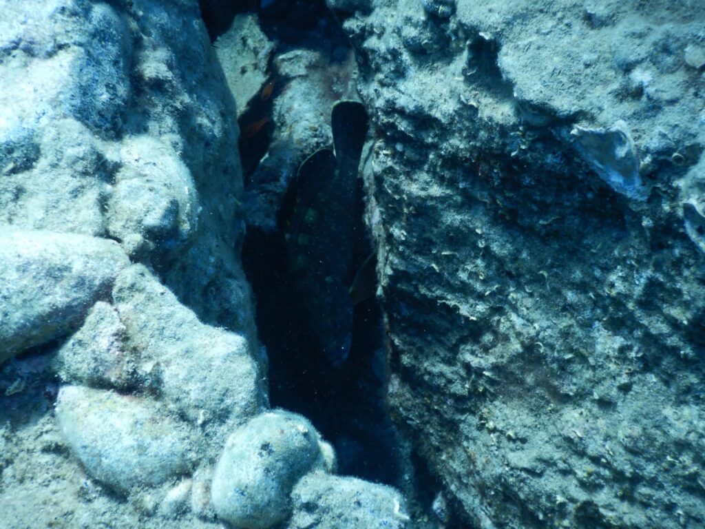 429480614 770537238439612 2152247130649144848 n - Tesori archeologici in fondo al mare calabrese, Ministero e Ingv fanno rete - 5 429480614 770537238439612 2152247130649144848 n - Meraviglie di Calabria - 4