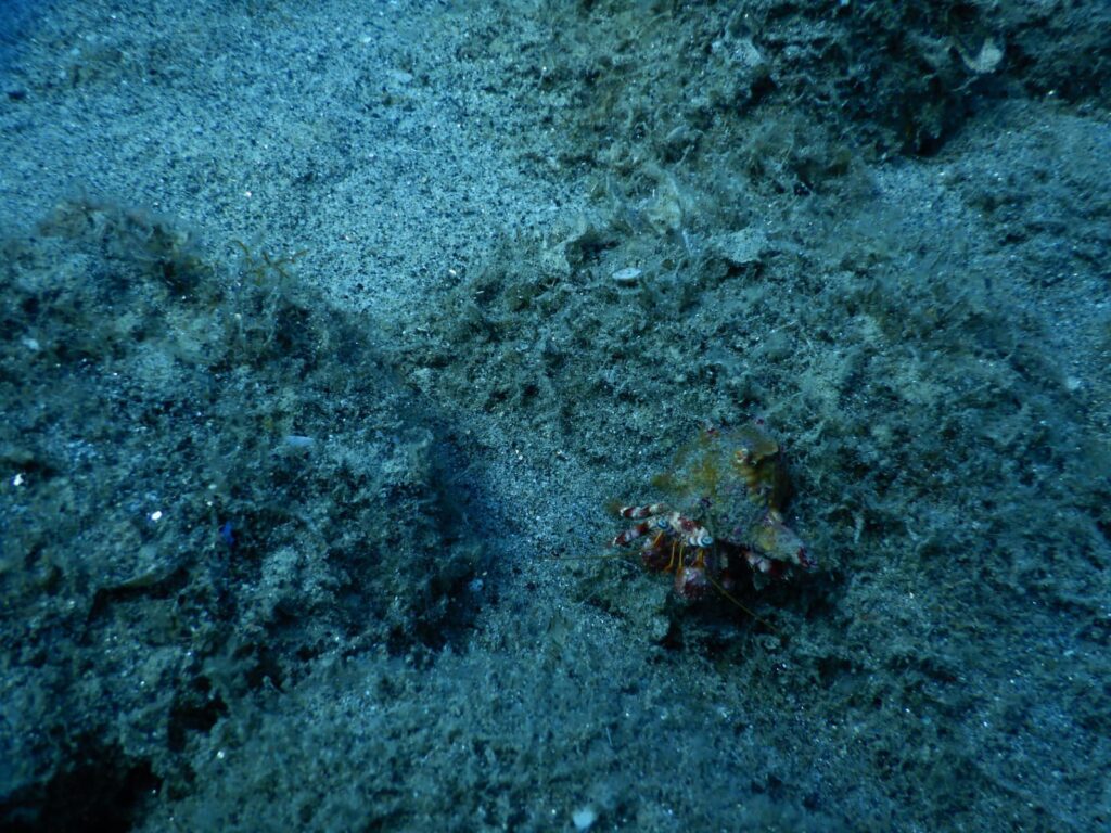 429519447 770537231772946 6191995217164018321 n - Tesori archeologici in fondo al mare calabrese, Ministero e Ingv fanno rete - 11 429519447 770537231772946 6191995217164018321 n - Meraviglie di Calabria - 10