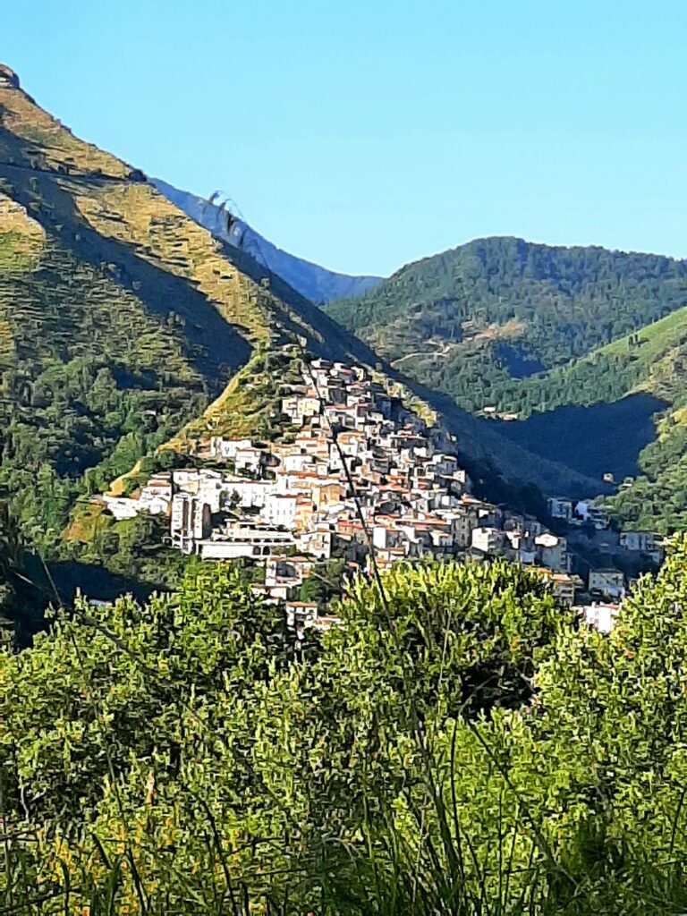 51e02225 8983 4646 ad16 38b27c6c8f35 - Meraviglie di Calabria - 67