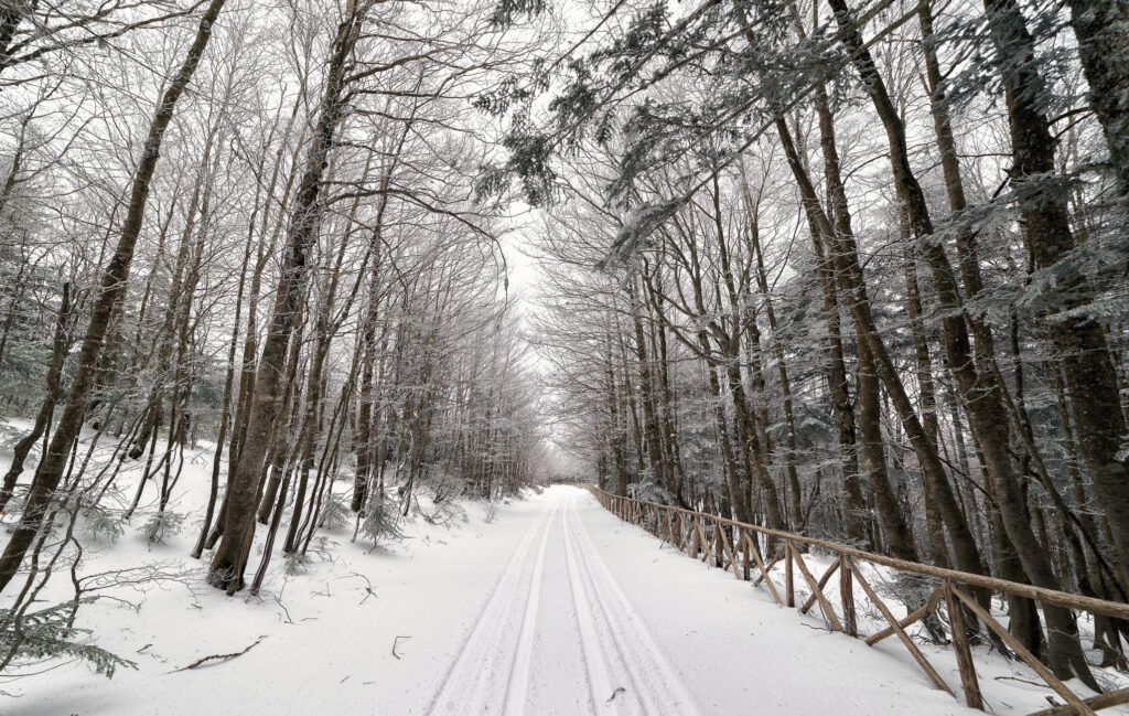 Aspromonte Neve Dic 2016 3 - Meraviglie di Calabria - 43