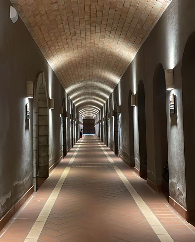 Barricaia Cantine Statti - Meraviglie di Calabria - 19