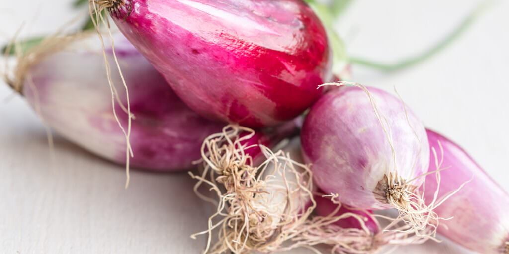 Cipolla di Tropea IGP Calabria e1709027408896 - Saluti dalla Calabria, il nuovo format che svela capolavori gastronomici - 5 Cipolla di Tropea IGP Calabria e1709027408896 - Meraviglie di Calabria - 4