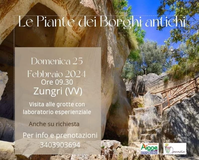 Le Piante dei Borghi antichi e visita alle grotte 25 Febbraio 2024 Zungri - Gli appuntamenti del weekend in Calabria - 23 Le Piante dei Borghi antichi e visita alle grotte 25 Febbraio 2024 Zungri - Meraviglie di Calabria - 22