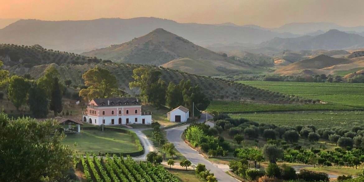 Cinque motivi (divertenti) per cui non dovresti mai visitare le cantine calabresi