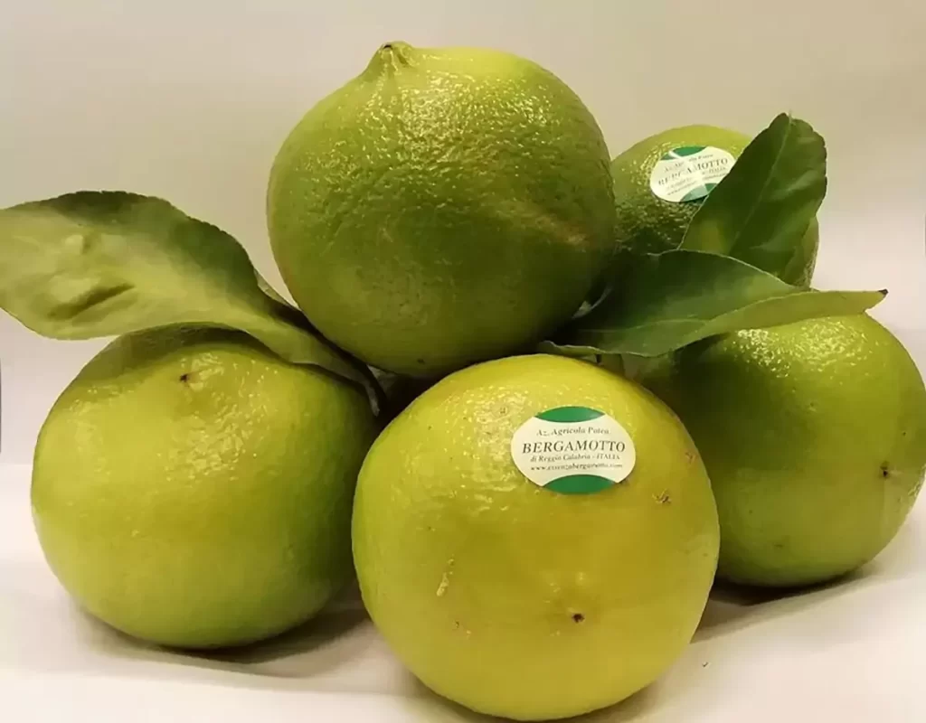 bergamotto reggio - Si potenzia la Dop economy, il Consorzio del Bergamotto entra in Origin Italia - 3 bergamotto reggio - Meraviglie di Calabria - 2