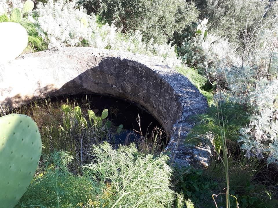 e9566f01 bf9d 4e45 97c2 83ebfe4ae77c - Motta Sant’Agata, il borgo dagli antichi fasti - 21 e9566f01 bf9d 4e45 97c2 83ebfe4ae77c - Meraviglie di Calabria - 20