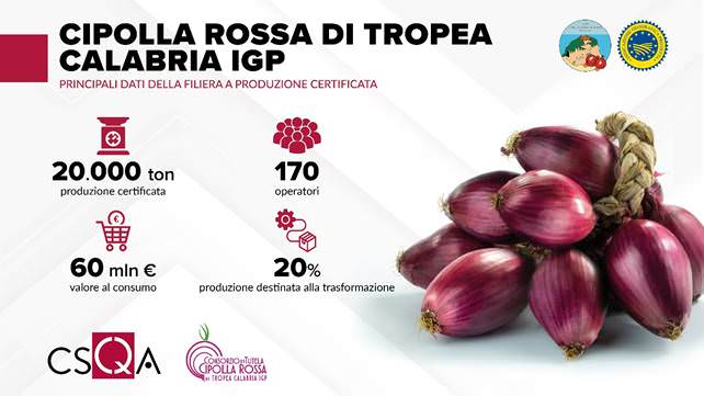 image002 - Cipolla Rossa di Tropea Igp, certificato un valore al consumo da 60 milioni - 3 image002 - Meraviglie di Calabria - 2