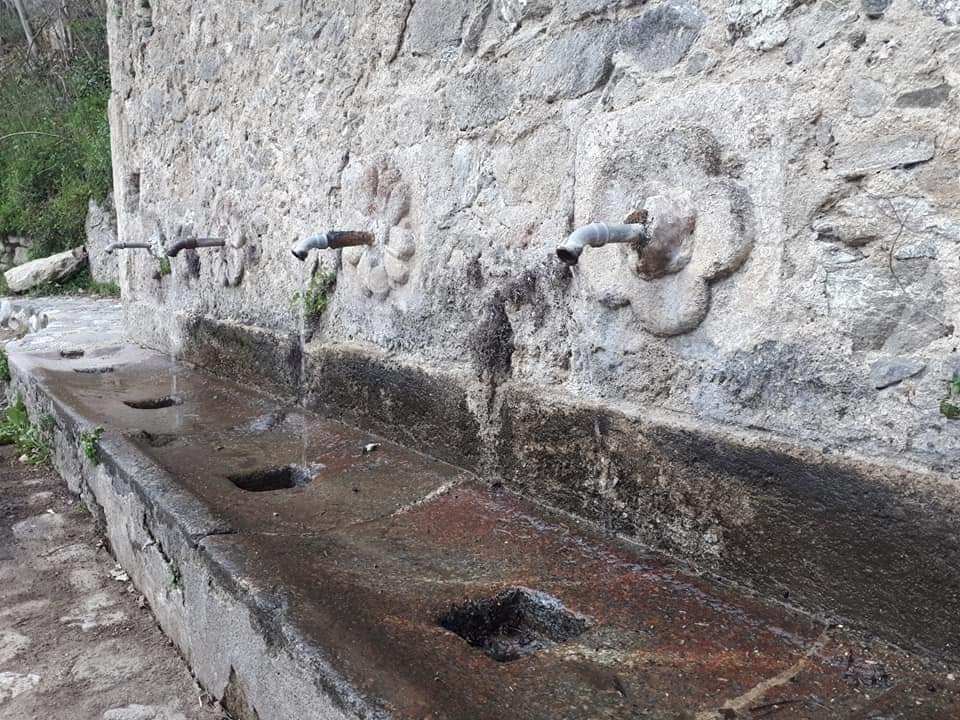 01e6f785 83fc 48c6 82ed 68102851322b - Meraviglie di Calabria - 10