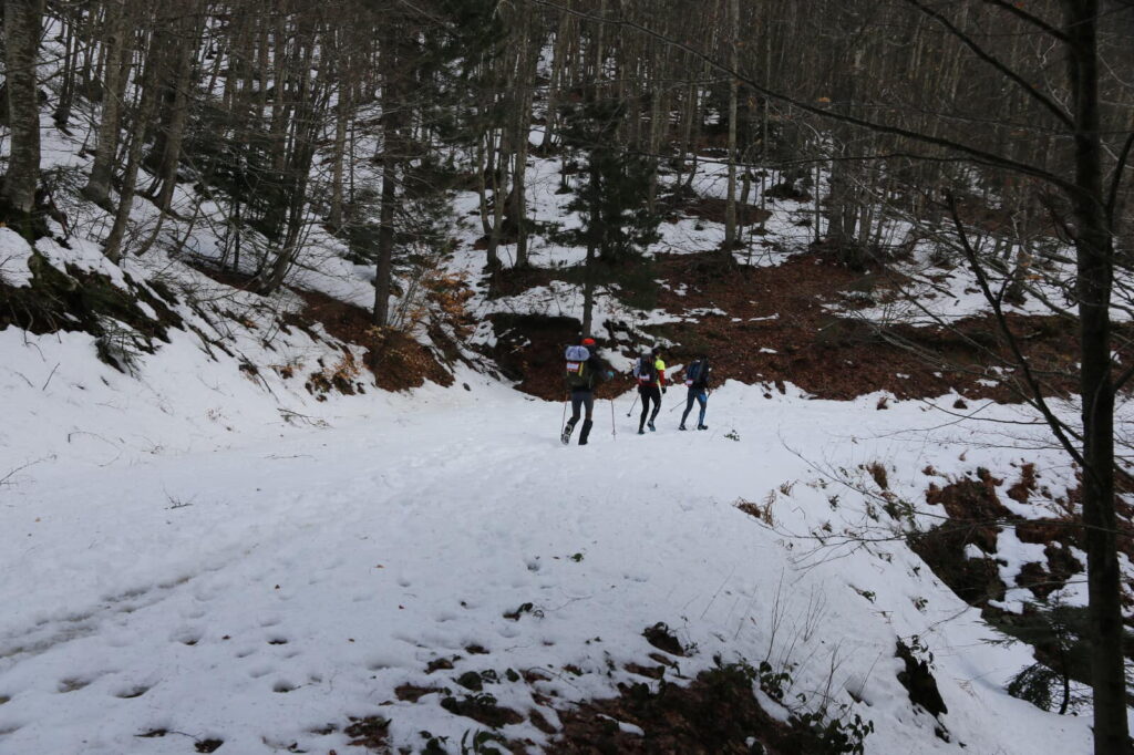151121732 3b5b23e6 e939 4935 a6fe a21516db7018 1 - Sila3Vette 2024 Winter Challenge, l’altopiano in vetrina nazionale - 21 151121732 3b5b23e6 e939 4935 a6fe a21516db7018 1 - Meraviglie di Calabria - 20
