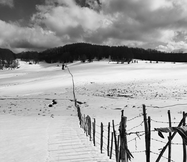 151228733 6b32c5fd 6653 4825 a04c 53333fe051ad - Sila3Vette 2024 Winter Challenge, l’altopiano in vetrina nazionale - 9 151228733 6b32c5fd 6653 4825 a04c 53333fe051ad - Meraviglie di Calabria - 8