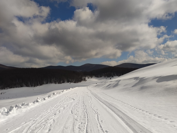 151253823 fe840486 27de 430a ad2d 00ec65da58ef 1 - Sila3Vette 2024 Winter Challenge, l’altopiano in vetrina nazionale - 23 151253823 fe840486 27de 430a ad2d 00ec65da58ef 1 - Meraviglie di Calabria - 22