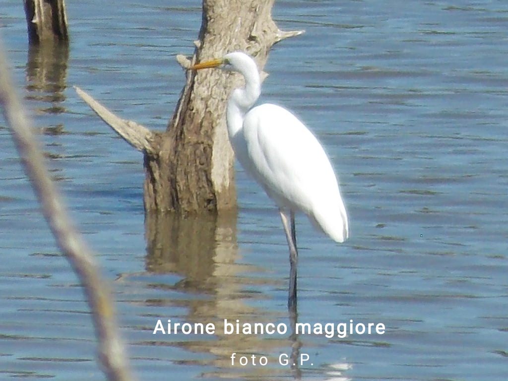 434380846 398668586254482 6738135189785557926 n - Meraviglie di Calabria - 53