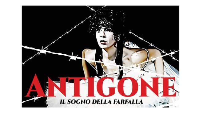 Antigone il sogno della farfalla - Meraviglie di Calabria - 269