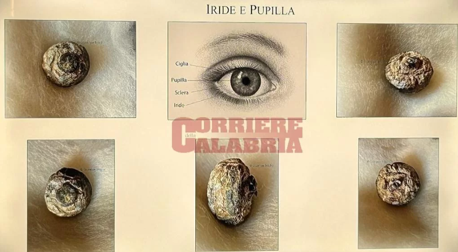 Screenshot 2024 03 04 121712 - A Riace una nuova campagna archeologica sub sulle tracce dei Bronzi - 5 Screenshot 2024 03 04 121712 - Meraviglie di Calabria - 4