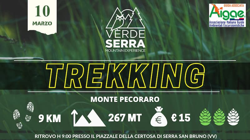 Trekking Monte Pecoraro 10 Marzo 2024 Piazzale Certosa Serra San Bruno - Gli appuntamenti del weekend in Calabria - 7 Trekking Monte Pecoraro 10 Marzo 2024 Piazzale Certosa Serra San Bruno - Meraviglie di Calabria - 6