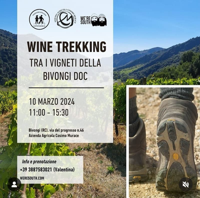 Wine Trekking tra i vigneti della Bivongi DOC 10 Marzo 2024 - Gli appuntamenti del weekend in Calabria - 11 Wine Trekking tra i vigneti della Bivongi DOC 10 Marzo 2024 - Meraviglie di Calabria - 10