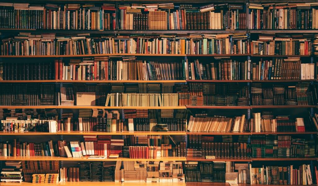 alfons morales YLSwjSy7stw unsplash - A Belvedere Marittimo appuntamento con la Fiera “Libri al Centro” - 3 alfons morales YLSwjSy7stw unsplash - Meraviglie di Calabria - 2