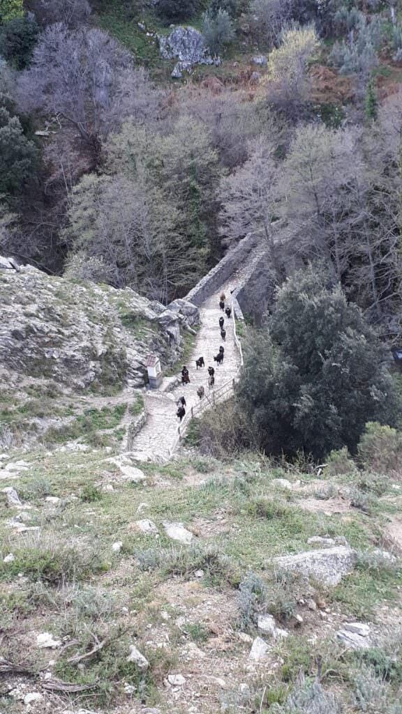 1e87a71b 8f93 4453 8d1e ba97a609a672 - Meraviglie di Calabria - 83