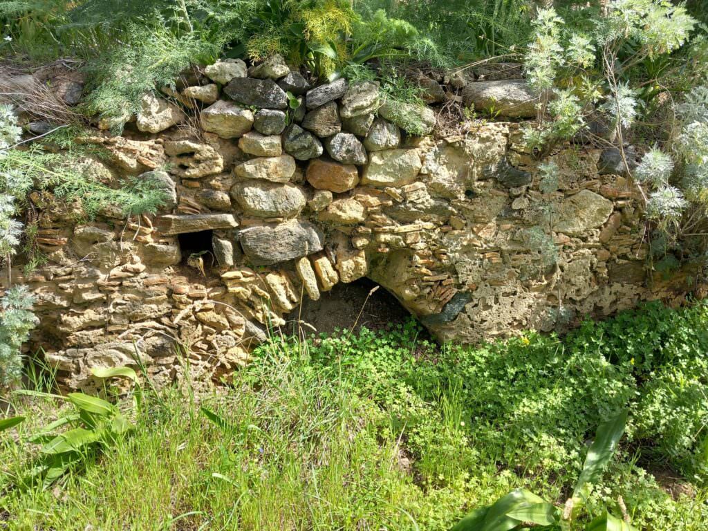434718176 791897449637384 4957290379519686984 n - Le rovine di Motta Sant’Agata, quella «promessa di felicità» - 9 434718176 791897449637384 4957290379519686984 n - Meraviglie di Calabria - 8
