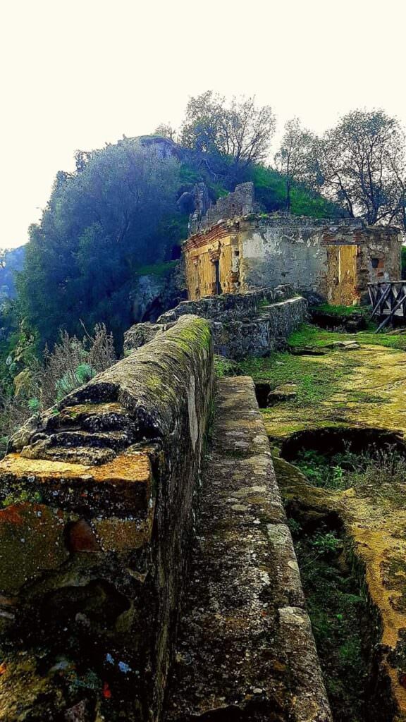 44775278 937735886434368 7724410007961206784 n - Meraviglie di Calabria - 7