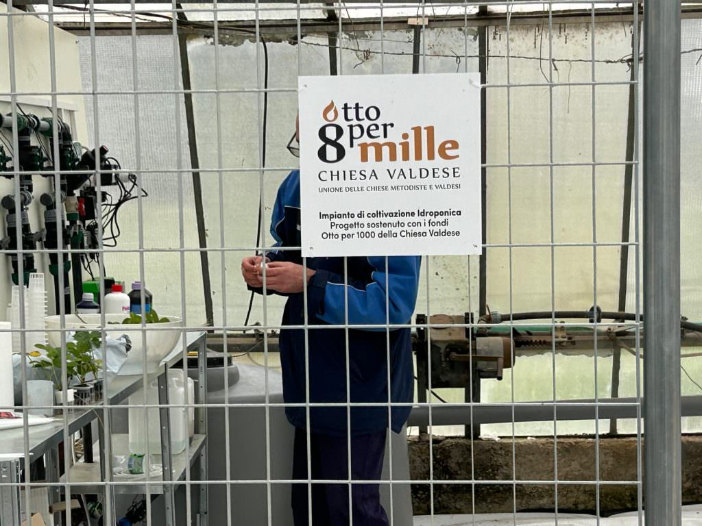 91707608 3de1 4ec3 a548 c5b80eb4c8a2 1024x768 1 - A Belcastro si sperimenta. Coltivazioni bio a sostegno dei lavoratori disabili - 7 91707608 3de1 4ec3 a548 c5b80eb4c8a2 1024x768 1 - Meraviglie di Calabria - 6