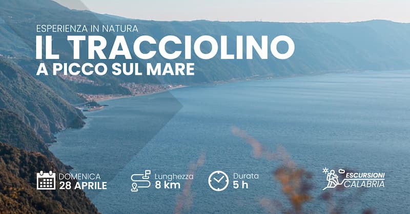 Escursione Il Tracciolino a picco sul mare 28 Aprile 2024 Monte SantElia Palmi - Meraviglie di Calabria - 101