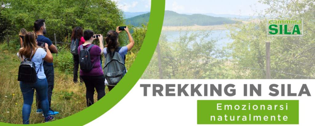 Locandina trekking in sila AGOSTO 1320x527 1 - Gli appuntamenti del weekend in Calabria - 27 Locandina trekking in sila AGOSTO 1320x527 1 - Meraviglie di Calabria - 26