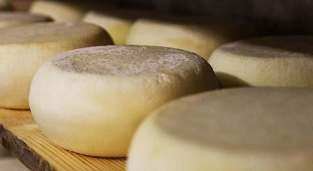 Pecorino - Sviluppo della Calabria, la valorizzazione delle produzioni passa anche dal marchio Pit - 7 Pecorino - Meraviglie di Calabria - 6
