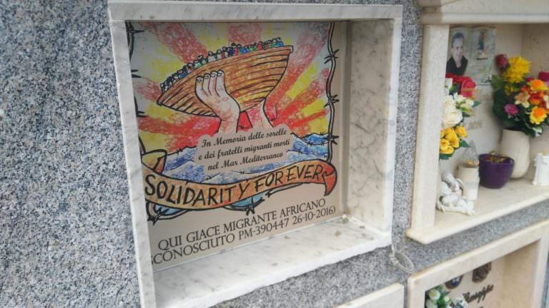TNAY1951 768x432 1 - “Fate i tuoni”, l’accoglienza dei curdi a Badolato diviene un romanzo - 11 TNAY1951 768x432 1 - Meraviglie di Calabria - 10