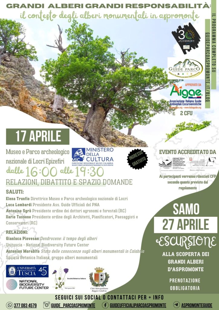 convegno grandi alberi guide parco DEFINITIVA - Alberi monumentali, Aspromonte custode di un tesoro - 13 convegno grandi alberi guide parco DEFINITIVA - Meraviglie di Calabria - 12
