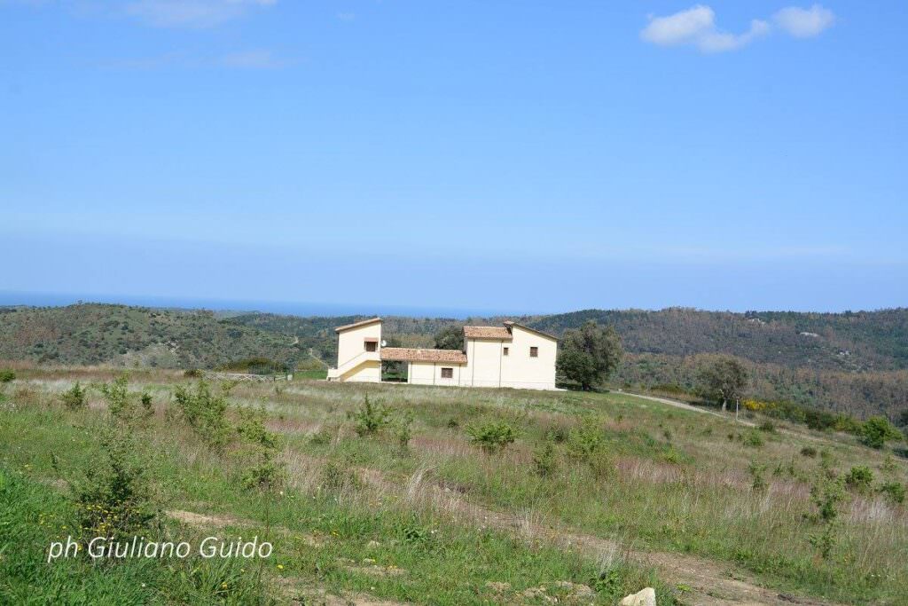 13220577 393341547507495 5206118050521816758 o - Meraviglie di Calabria - 29