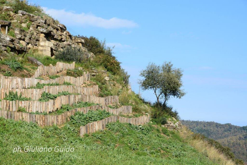 13247793 393342350840748 4596414402755091343 o - Meraviglie di Calabria - 53