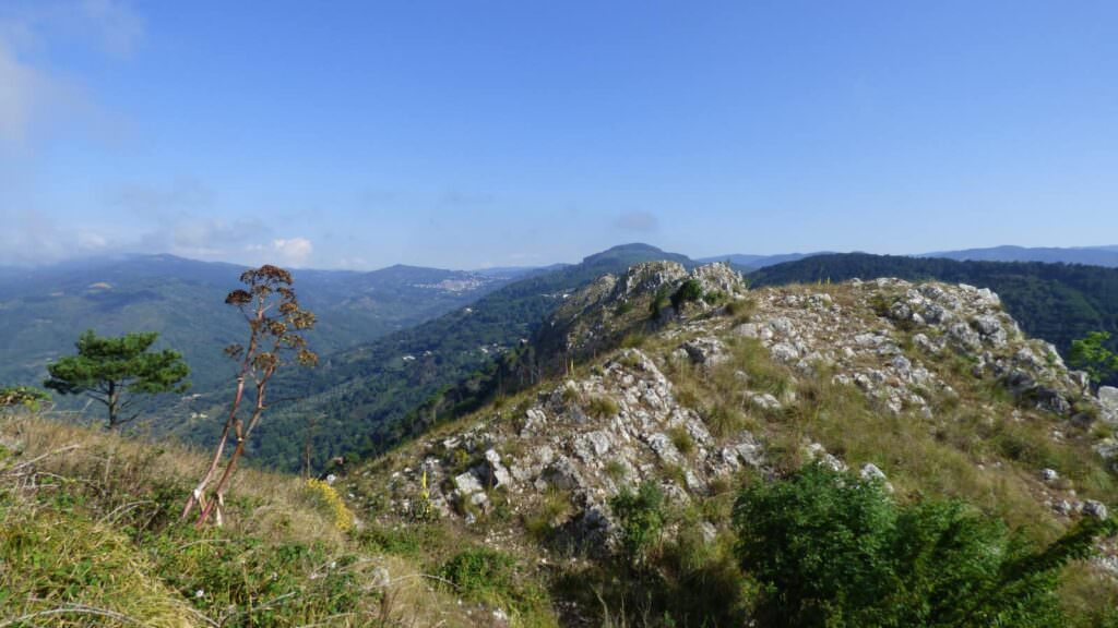 440178157 3259333231038541 1911183074976742544 n - Monte Tiriolo, lo spettacolare passaggio dei falchi pecchiaioli sulle vette - FOTO - 19 440178157 3259333231038541 1911183074976742544 n - Meraviglie di Calabria - 18
