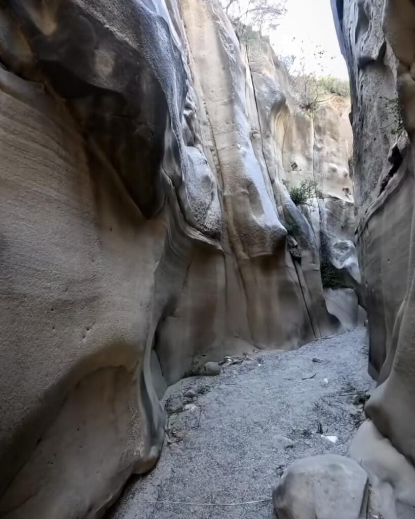 440989852 848089284019437 3791099134290972831 n - L’immaginifico mondo del canyon di Motta San Giovanni - 7 440989852 848089284019437 3791099134290972831 n - Meraviglie di Calabria - 6