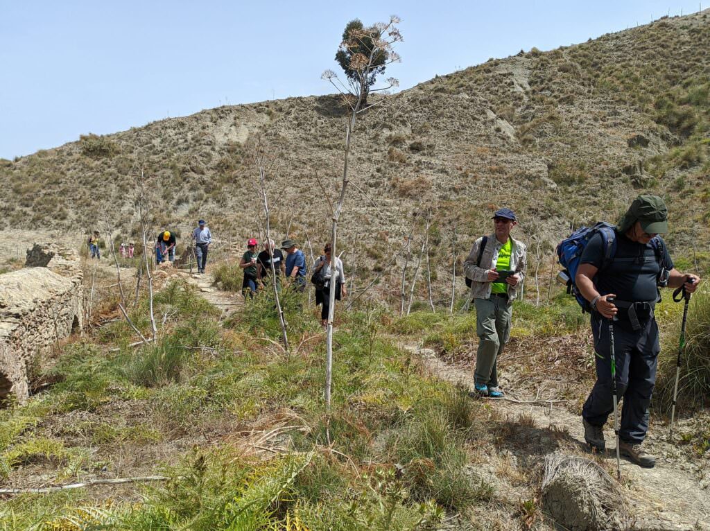 441188067 850297427133034 5118057630366230445 n - Giornata mondiale della Biodiversità, alla scoperta dei Calanchi - 13 441188067 850297427133034 5118057630366230445 n - Meraviglie di Calabria - 12