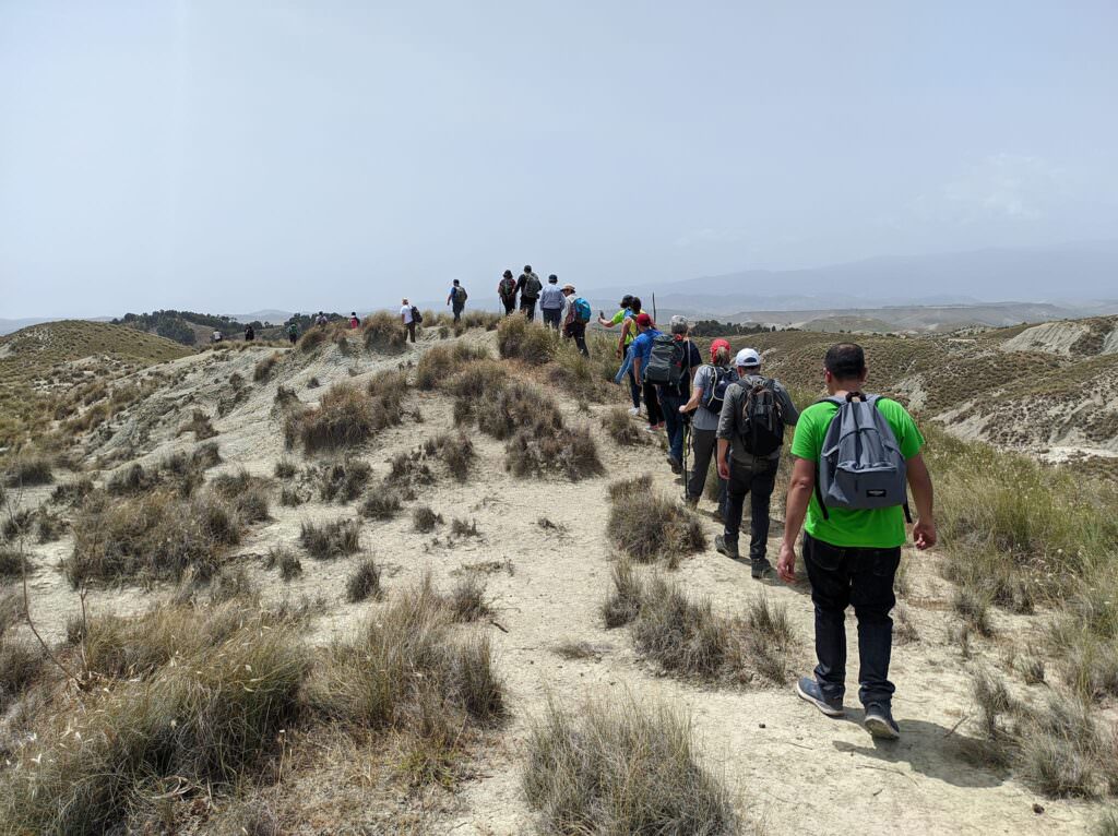 442392259 850297813799662 5147729698814569278 n - Giornata mondiale della Biodiversità, alla scoperta dei Calanchi - 3 442392259 850297813799662 5147729698814569278 n - Meraviglie di Calabria - 2