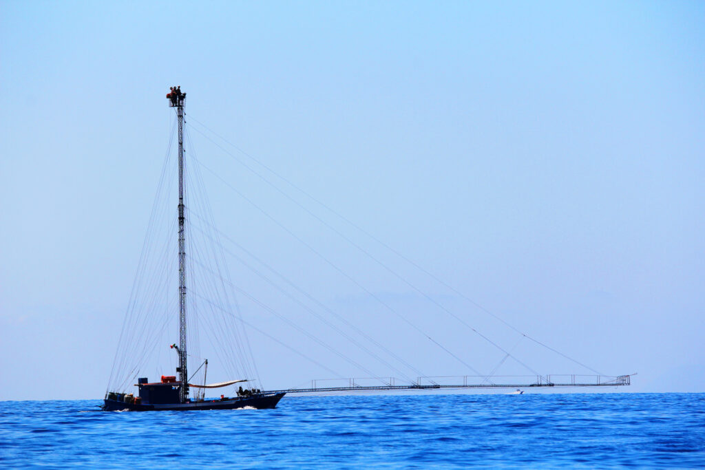 BAGNARA CALABRA AVVISO PROMOZIONE 2023 1 - Pesca tradizionale dello Stretto, il presidio Slow Food per rilanciare le tecniche identitarie - 3 BAGNARA CALABRA AVVISO PROMOZIONE 2023 1 - Meraviglie di Calabria - 2