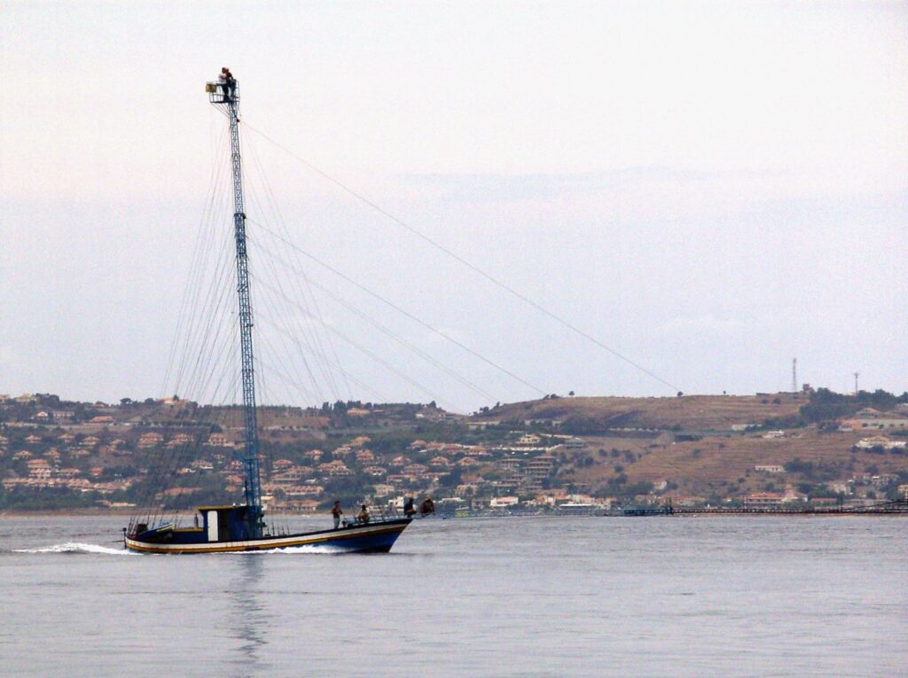 Barca pescespada 1 - Pesca tradizionale dello Stretto, il presidio Slow Food per rilanciare le tecniche identitarie - 19 Barca pescespada 1 - Meraviglie di Calabria - 18